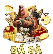 Cá cược bóng đá fa88
